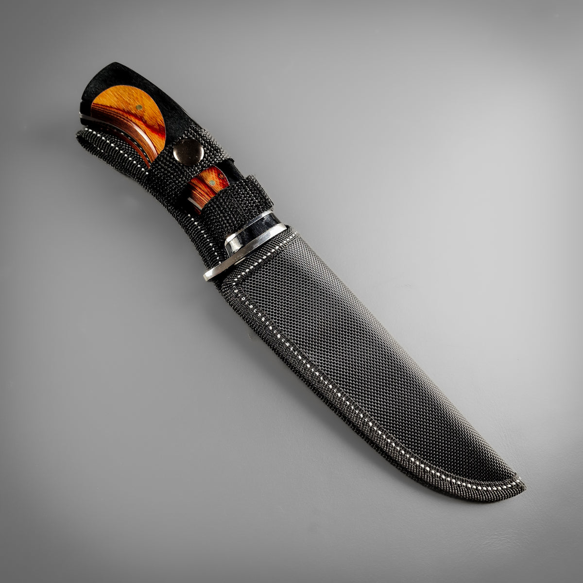 The Black and Tan